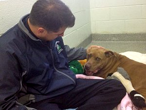 Officer Lanteigne visits with Lilly during her hospital stay.