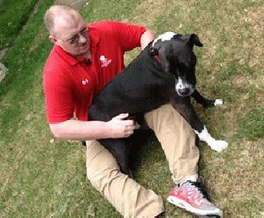 Major and his owner Terry McGlade.