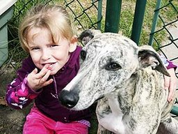 Alexis Sararas sits with her Whippet, Moose. (Photo by Luke Hendry/QMI Agency)