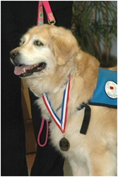 Penny wearing her Texas Animal Hall of Fame medal.