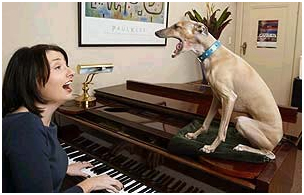 Judith Dodsworth and Pikelet singing.