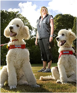 Caralot poodles deals