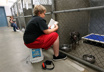 Brayden Rogers and Grace Kravik spend their Wednesday afternoon reading to dogs at the Biter Root Humane Association shelter in Hamilton, MT. Photo by Perry Backus