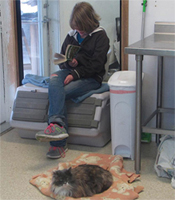 A student sits and reads in the cat area at the Biter Root Humane Association shelter in Hamilton, MT. Photo from Facebook