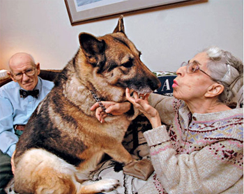 Hero Shana and her owners, the Fertigs.
