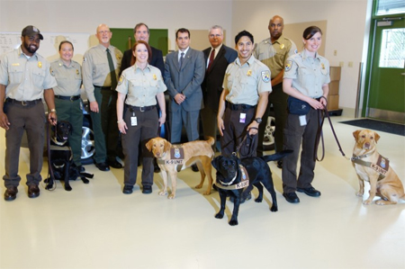 Meet the new class of retrievers that are now trained to help stop black market trade.