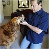 Wrigley and his owner Steven Werner.