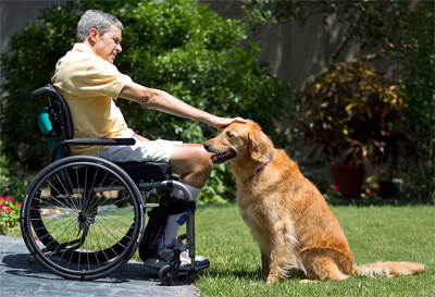 Yogi and his owner Paul Horton share a special bond.