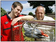 Bob the parrot
