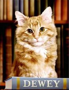 Spencer Librarian Vicki Myron, along with Dewey, received a $1.25 million advance to write a book about the cat that lived in the library for 19 years and gained national and international attention before his death in December 2006.
