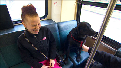 Eclipse riding the bus. (KOMO-TV)