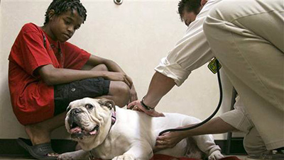 Fatcat and LeShena Harris' son at an Arizona vet. (LaShena Harris)
