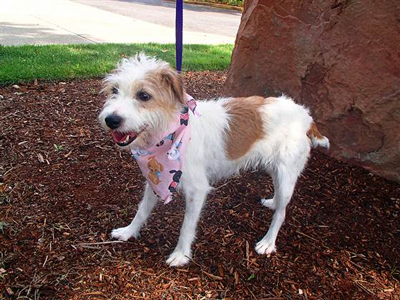 (Washington County Animal Services / AP)