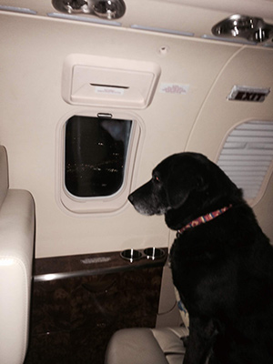 Lady and her view from the jet! Photo courtesy of Chet Ragsdale.