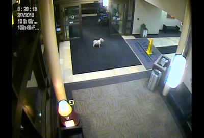 Sissy in the hospital lobby. (KWWL)