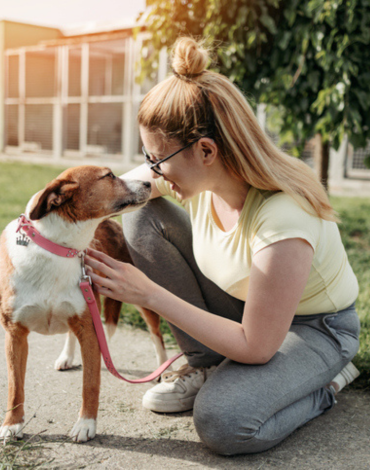 3 Reasons Why You Should Adopt A Shelter Pet