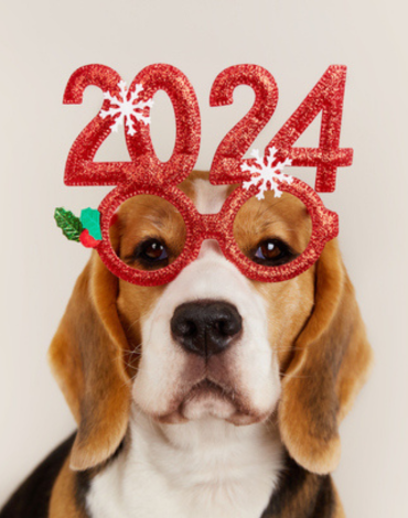 Resolve To Keep Your Pets Happy and Healthy