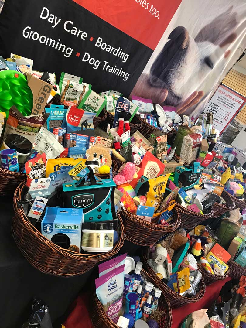 Pet Gift Baskets filled with cat, dog, fish, bird, and small animal supplies
