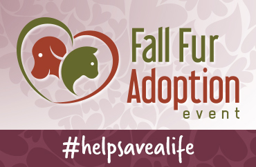 Fall Fur Adoption Event 2018