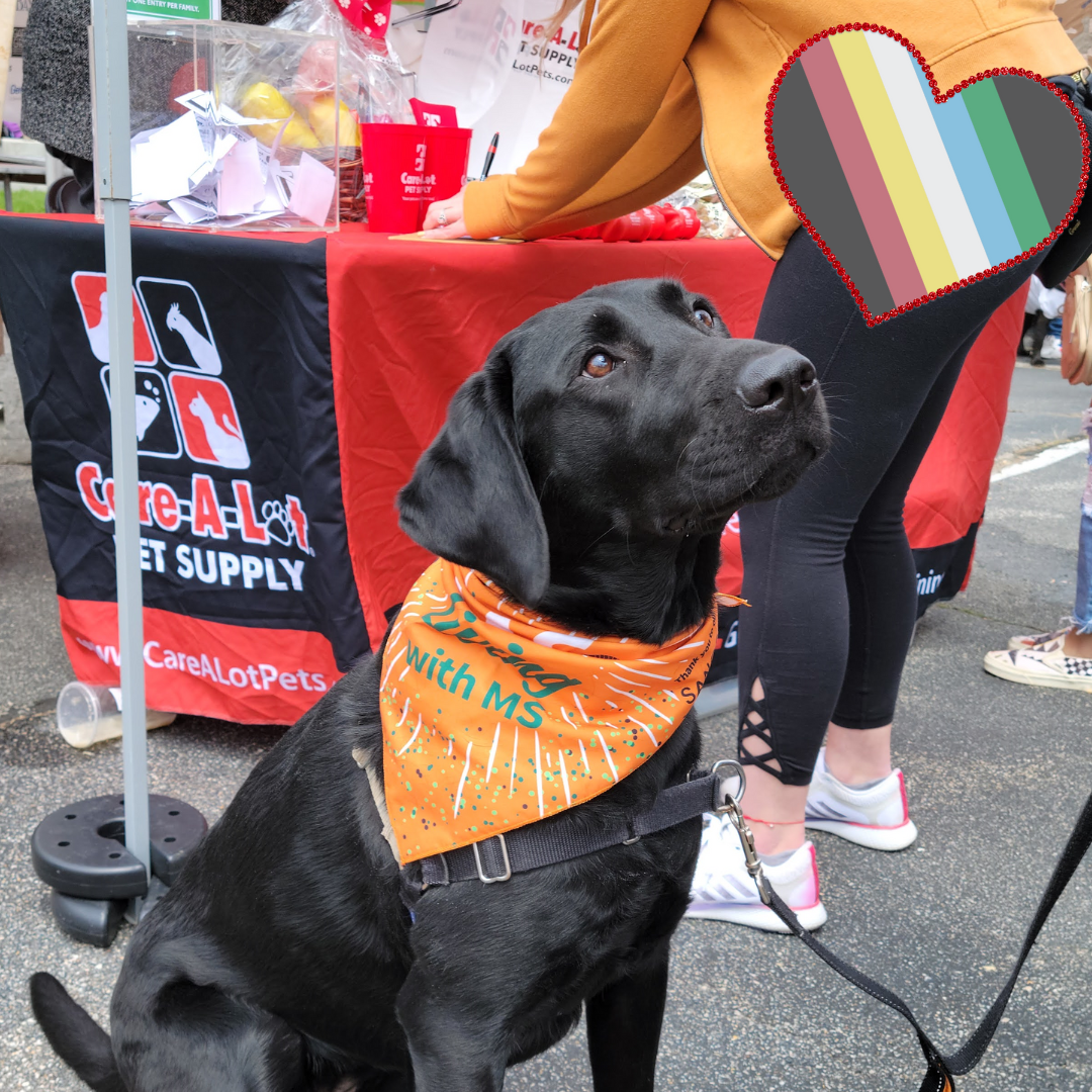Celebrate Disability Pride and Awareness!