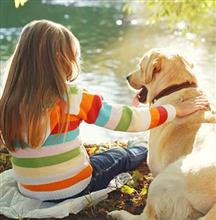 Introducing Your Child to a New Dog