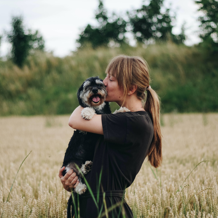Giving Thanks For Our Pets