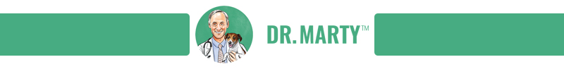 Dr. Marty