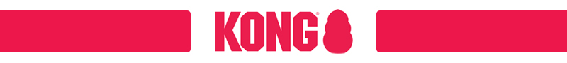 Kong