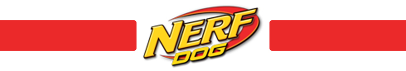 Nerf Dog