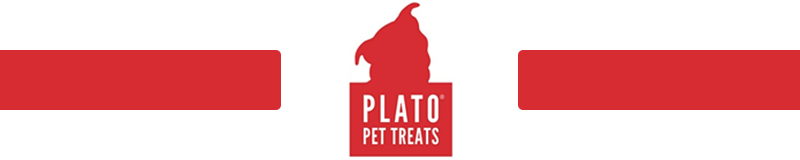 Plato