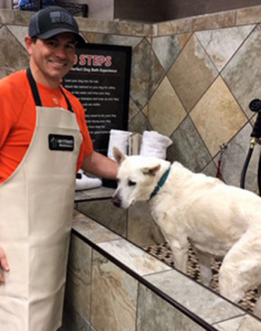4 Reasons To Bring Your Pet Here For A Bath