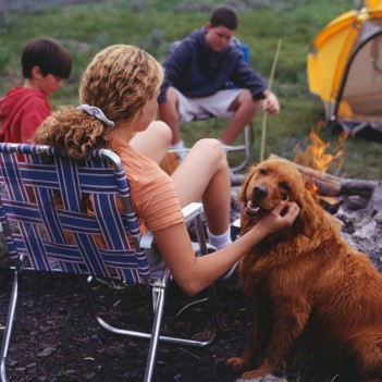 Camping With Your Dog
