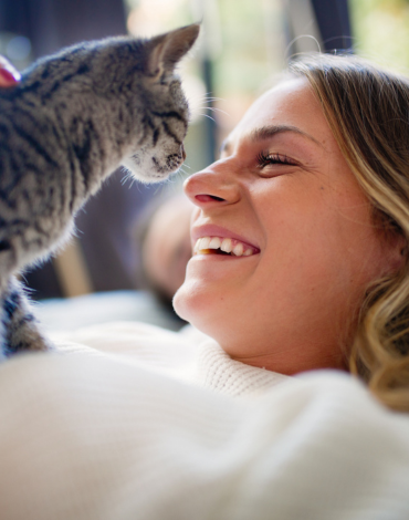 Your New Cat Checklist