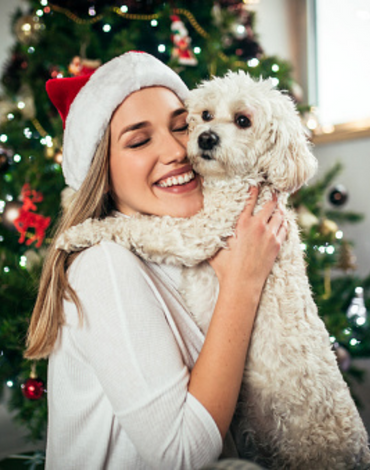 Holiday Lights & Sights Without the Frights