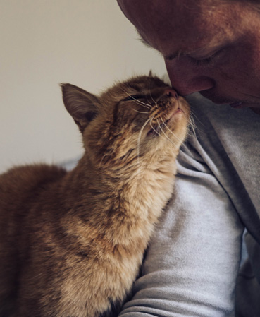 We're Crazy for Cats!