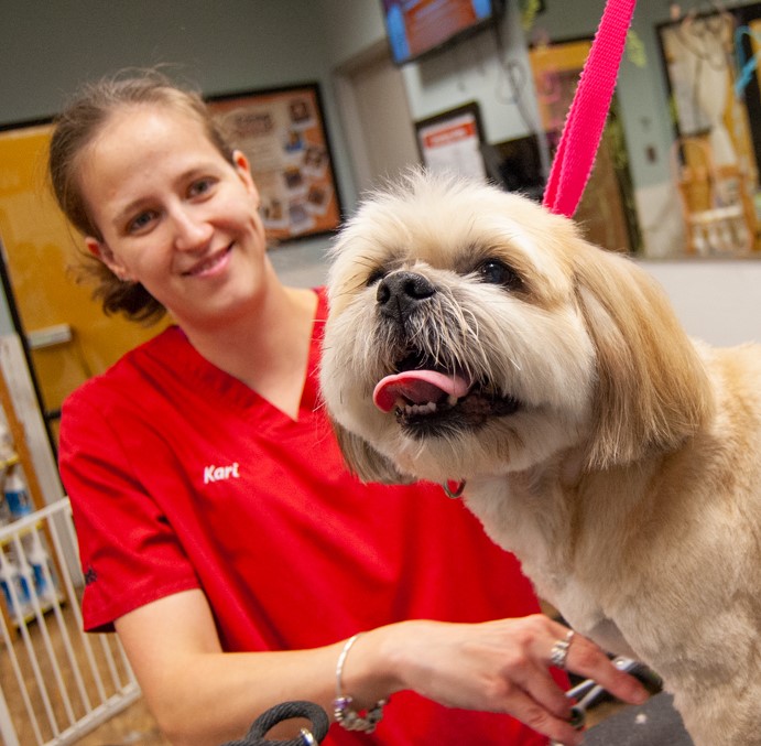 Bring Your Dog to a Professional Groomer This Holiday Season
