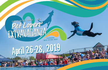 Pet Lovers' Extravaganza 2019