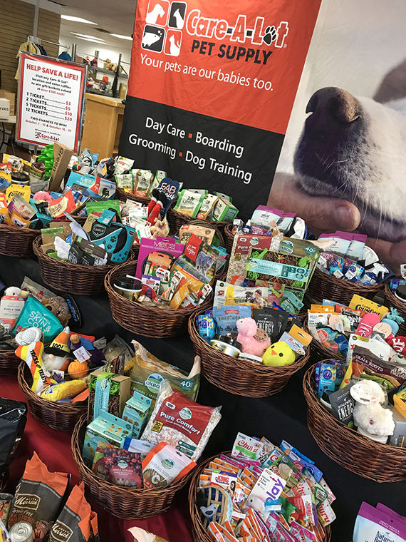 Find Your FURever Friend at Care-A-Lot's 7th Annual Fall Fur Adoption Event