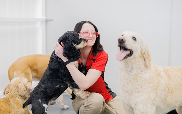 The Benefits of Boarding and Playcare for Your Pet This Summer