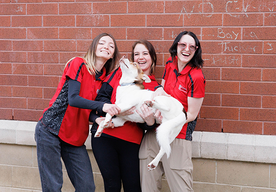 Summer’s Coming! Plan Ahead with Care-A-Lot Pet Supply’s Pet Services