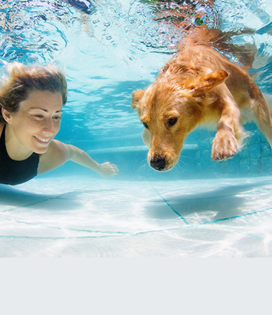 As Summer Heats Up, Ways to Cool Down with Your Pet