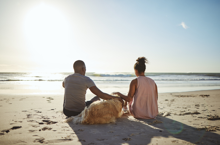 Beach, Pool & Lake Safety for Dogs This Summer