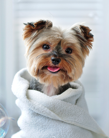 Tips for our Self-Bath