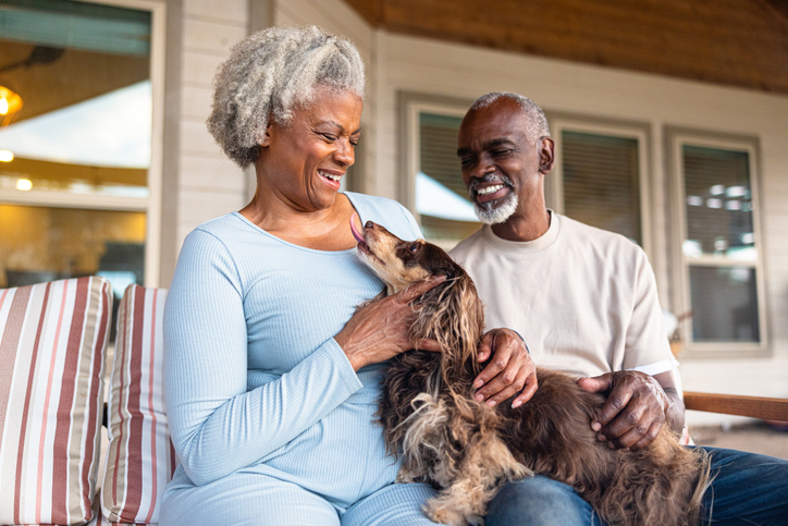Your Pet's Favorite Summer Destination Is Right Around the Corner