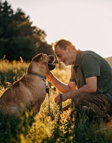 Caring For An Older Pet