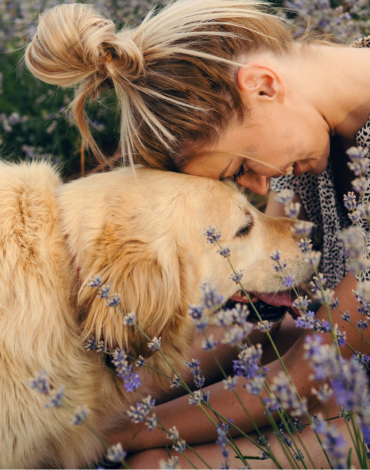 3 Reasons To Microchip Your Pets