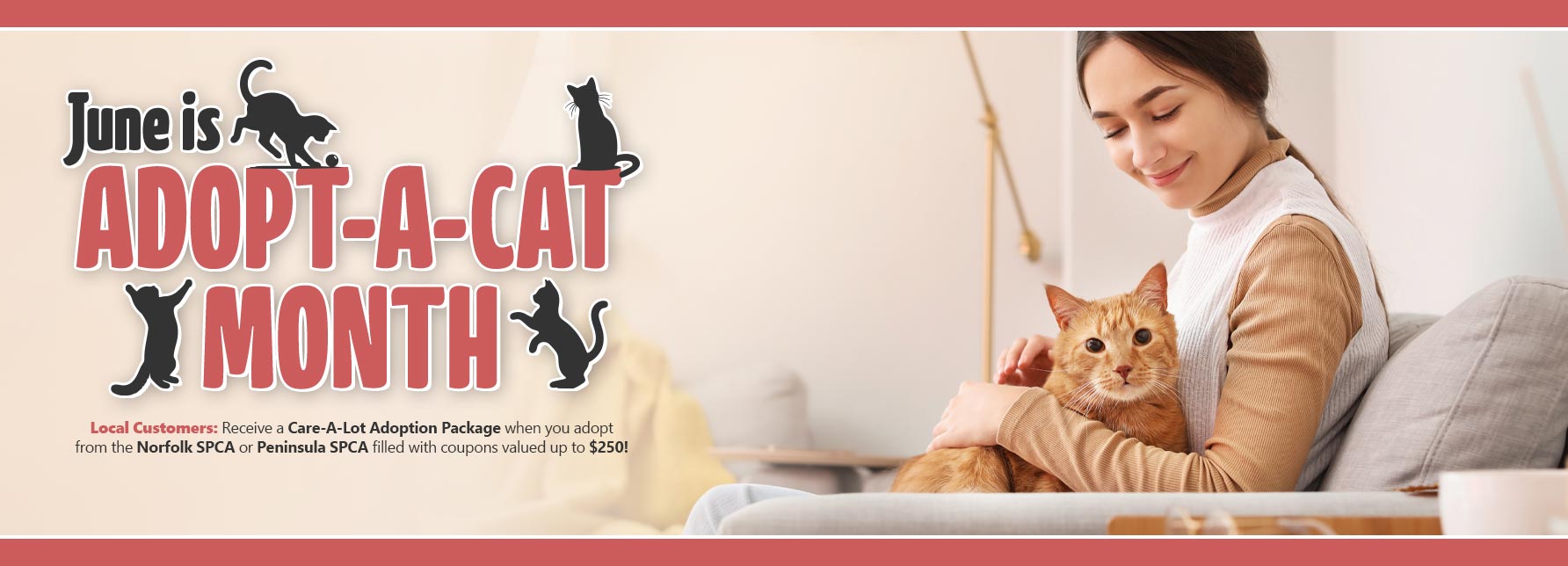 Adopt-A-Cat Month