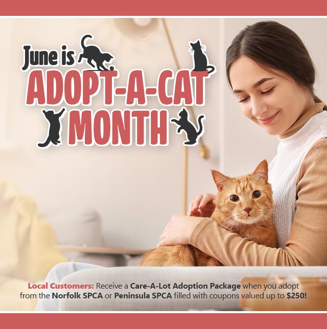 Adopt-A-Cat Month