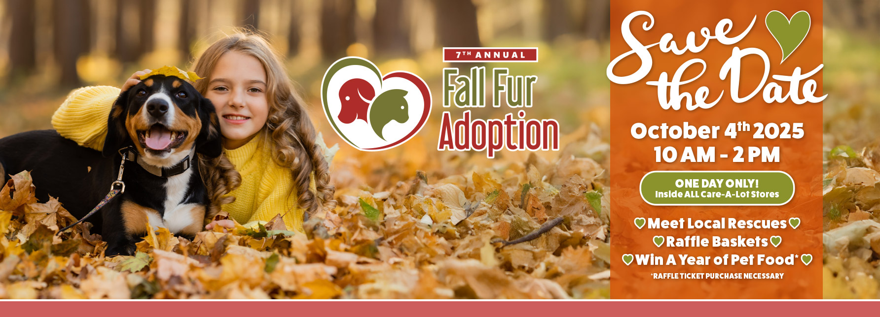 Fall Fur Adoption