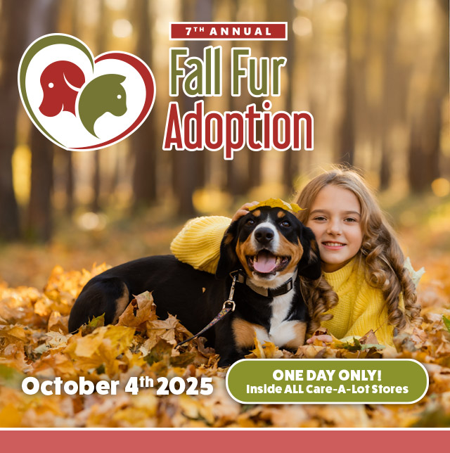 Fall Fur Adoption